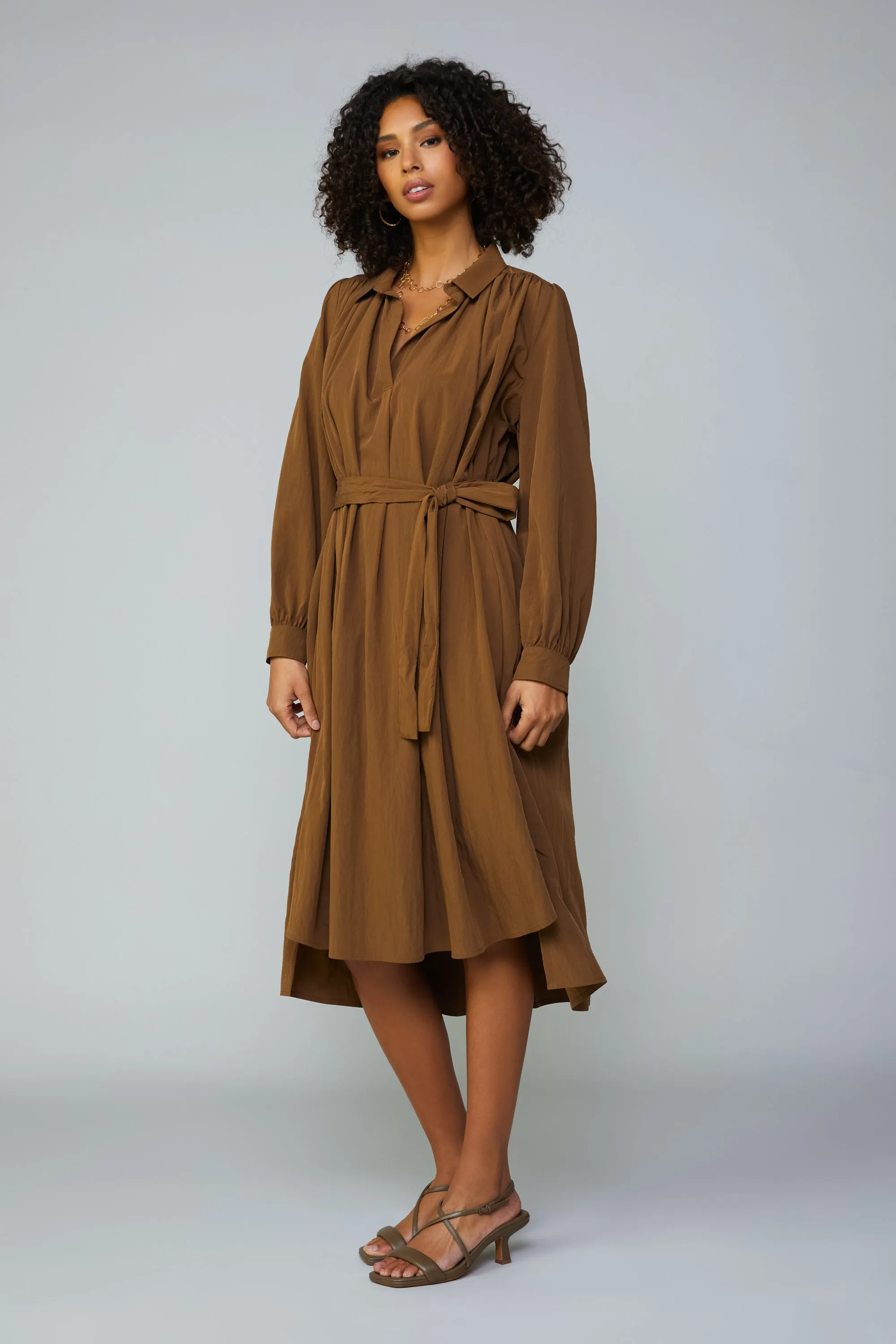 Belted Shirt Dress